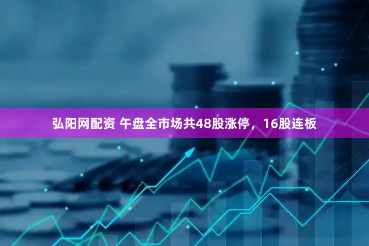 弘阳网配资 午盘全市场共48股涨停，16股连板